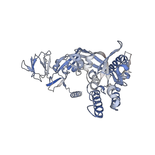 26668_7upk_A_v1-1
Prefusion-stabilized Nipah virus fusion protein complexed with Fab 1A9