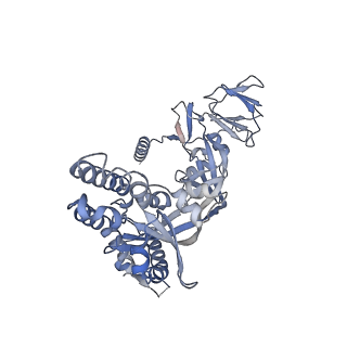 26668_7upk_B_v1-1
Prefusion-stabilized Nipah virus fusion protein complexed with Fab 1A9