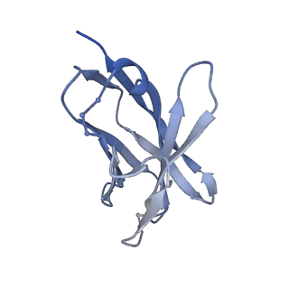 26668_7upk_C_v1-1
Prefusion-stabilized Nipah virus fusion protein complexed with Fab 1A9