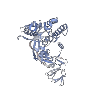 26668_7upk_D_v1-1
Prefusion-stabilized Nipah virus fusion protein complexed with Fab 1A9