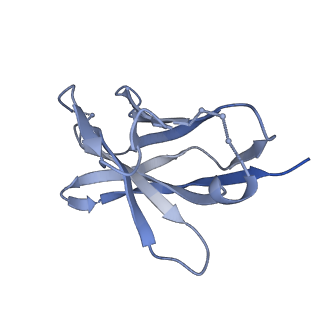 26668_7upk_E_v1-1
Prefusion-stabilized Nipah virus fusion protein complexed with Fab 1A9