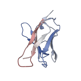 26668_7upk_F_v1-1
Prefusion-stabilized Nipah virus fusion protein complexed with Fab 1A9