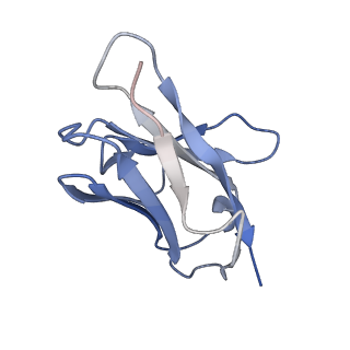 26668_7upk_G_v1-1
Prefusion-stabilized Nipah virus fusion protein complexed with Fab 1A9