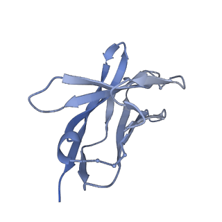 26668_7upk_H_v1-1
Prefusion-stabilized Nipah virus fusion protein complexed with Fab 1A9