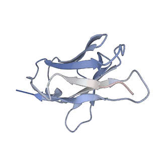 26668_7upk_L_v1-1
Prefusion-stabilized Nipah virus fusion protein complexed with Fab 1A9