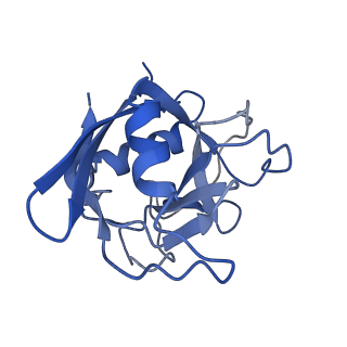 26673_7upn_B_v1-0
Maedi visna virus Vif in complex with CypA and E3 ubiquitin ligase
