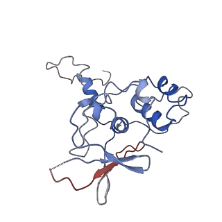 26673_7upn_C_v1-0
Maedi visna virus Vif in complex with CypA and E3 ubiquitin ligase