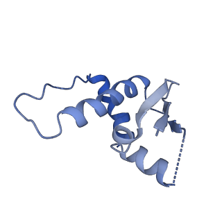 26673_7upn_E_v1-0
Maedi visna virus Vif in complex with CypA and E3 ubiquitin ligase