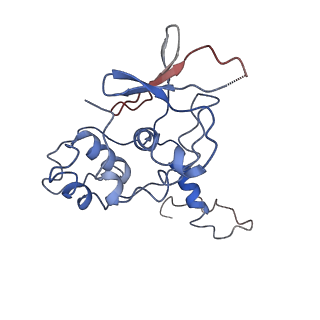 26673_7upn_F_v1-0
Maedi visna virus Vif in complex with CypA and E3 ubiquitin ligase