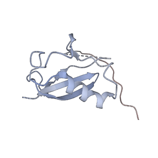 26673_7upn_H_v1-0
Maedi visna virus Vif in complex with CypA and E3 ubiquitin ligase