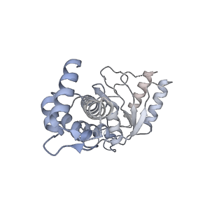 26674_7upr_A_v1-0
Human mitochondrial AAA protein ATAD1 (with a catalytic dead mutation) in complex with a peptide substrate (closed conformation)