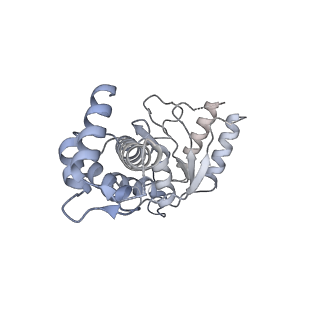 26674_7upr_A_v1-1
Human mitochondrial AAA protein ATAD1 (with a catalytic dead mutation) in complex with a peptide substrate (closed conformation)