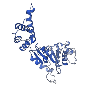 26674_7upr_B_v1-0
Human mitochondrial AAA protein ATAD1 (with a catalytic dead mutation) in complex with a peptide substrate (closed conformation)