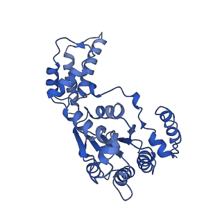 26674_7upr_C_v1-0
Human mitochondrial AAA protein ATAD1 (with a catalytic dead mutation) in complex with a peptide substrate (closed conformation)