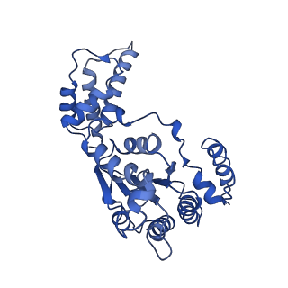 26674_7upr_C_v1-1
Human mitochondrial AAA protein ATAD1 (with a catalytic dead mutation) in complex with a peptide substrate (closed conformation)