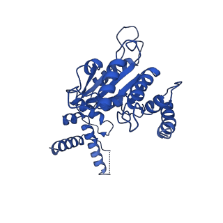 26674_7upr_E_v1-0
Human mitochondrial AAA protein ATAD1 (with a catalytic dead mutation) in complex with a peptide substrate (closed conformation)
