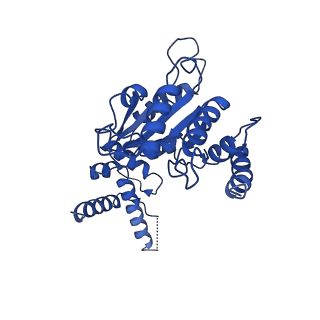 26674_7upr_E_v1-1
Human mitochondrial AAA protein ATAD1 (with a catalytic dead mutation) in complex with a peptide substrate (closed conformation)