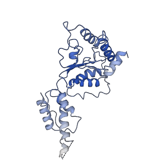 26674_7upr_F_v1-0
Human mitochondrial AAA protein ATAD1 (with a catalytic dead mutation) in complex with a peptide substrate (closed conformation)