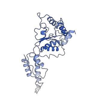 26674_7upr_F_v1-1
Human mitochondrial AAA protein ATAD1 (with a catalytic dead mutation) in complex with a peptide substrate (closed conformation)