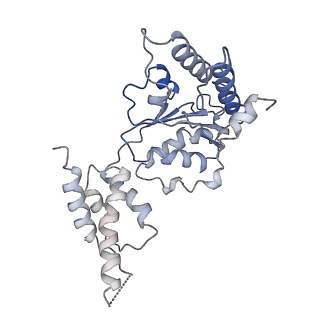 26675_7upt_A_v1-0
Human mitochondrial AAA protein ATAD1 (with a catalytic dead mutation) in complex with a peptide substrate (open conformation)
