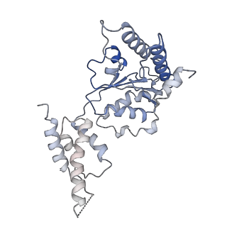 26675_7upt_A_v1-1
Human mitochondrial AAA protein ATAD1 (with a catalytic dead mutation) in complex with a peptide substrate (open conformation)