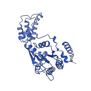 26675_7upt_C_v1-0
Human mitochondrial AAA protein ATAD1 (with a catalytic dead mutation) in complex with a peptide substrate (open conformation)