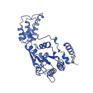 26675_7upt_C_v1-1
Human mitochondrial AAA protein ATAD1 (with a catalytic dead mutation) in complex with a peptide substrate (open conformation)