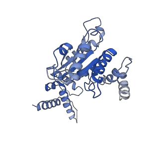 26675_7upt_D_v1-0
Human mitochondrial AAA protein ATAD1 (with a catalytic dead mutation) in complex with a peptide substrate (open conformation)