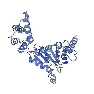 26675_7upt_E_v1-1
Human mitochondrial AAA protein ATAD1 (with a catalytic dead mutation) in complex with a peptide substrate (open conformation)