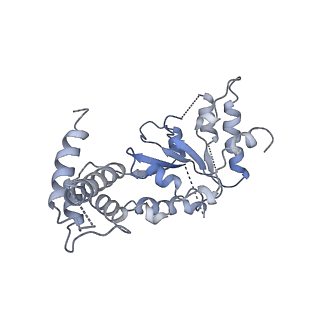 26675_7upt_F_v1-0
Human mitochondrial AAA protein ATAD1 (with a catalytic dead mutation) in complex with a peptide substrate (open conformation)