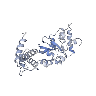 26675_7upt_F_v1-1
Human mitochondrial AAA protein ATAD1 (with a catalytic dead mutation) in complex with a peptide substrate (open conformation)