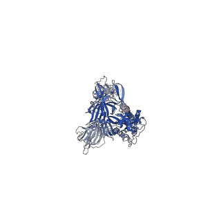 26678_7upy_A_v1-2
An antibody from single human VH-rearranging mouse neutralizes all SARS-CoV-2 variants through BA.5 by inhibiting membrane fusion