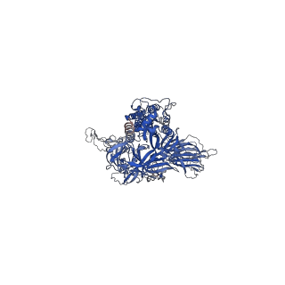 26678_7upy_C_v1-1
One RBD-up state of SARS-CoV-2 D614G spike in complex with the SP1-77 neutralizing antibody Fab fragment