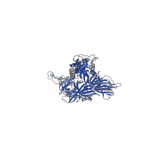 26678_7upy_C_v1-2
An antibody from single human VH-rearranging mouse neutralizes all SARS-CoV-2 variants through BA.5 by inhibiting membrane fusion