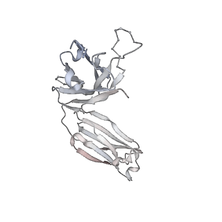 26678_7upy_D_v1-2
An antibody from single human VH-rearranging mouse neutralizes all SARS-CoV-2 variants through BA.5 by inhibiting membrane fusion