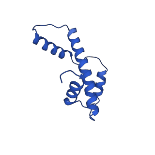 42446_8upf_A_v1-1
Cryo-EM structure of the human nucleosome core particle in complex with RNF168-UbcH5c