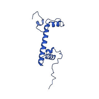 42446_8upf_C_v1-1
Cryo-EM structure of the human nucleosome core particle in complex with RNF168-UbcH5c