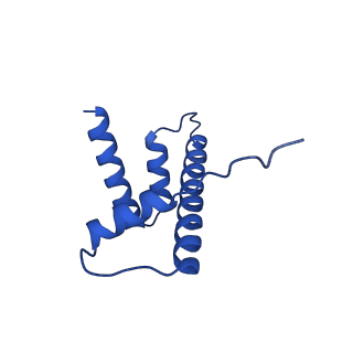 42446_8upf_D_v1-2
Cryo-EM structure of the human nucleosome core particle in complex with RNF168-UbcH5c