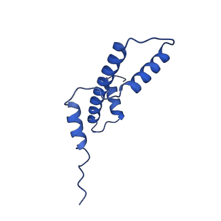 42446_8upf_E_v1-1
Cryo-EM structure of the human nucleosome core particle in complex with RNF168-UbcH5c