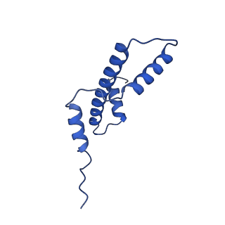 42446_8upf_E_v1-2
Cryo-EM structure of the human nucleosome core particle in complex with RNF168-UbcH5c