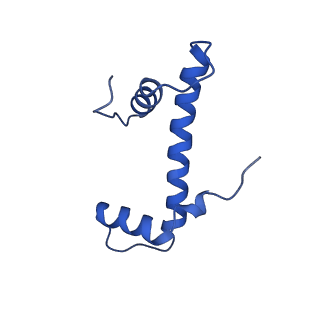 42446_8upf_F_v1-2
Cryo-EM structure of the human nucleosome core particle in complex with RNF168-UbcH5c