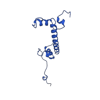 42446_8upf_G_v1-1
Cryo-EM structure of the human nucleosome core particle in complex with RNF168-UbcH5c