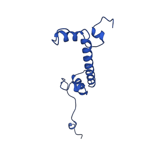 42446_8upf_G_v1-2
Cryo-EM structure of the human nucleosome core particle in complex with RNF168-UbcH5c