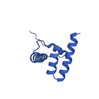 42446_8upf_H_v1-2
Cryo-EM structure of the human nucleosome core particle in complex with RNF168-UbcH5c