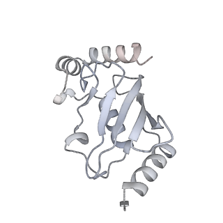 42446_8upf_L_v1-1
Cryo-EM structure of the human nucleosome core particle in complex with RNF168-UbcH5c