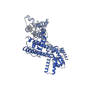 20846_6uqf_A_v1-3
Human HCN1 channel in a hyperpolarized conformation