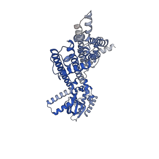 20847_6uqg_A_v1-3
Human HCN1 channel Y289D mutant