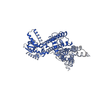 20847_6uqg_B_v1-3
Human HCN1 channel Y289D mutant