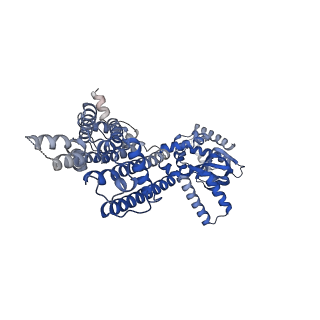 20847_6uqg_D_v1-3
Human HCN1 channel Y289D mutant