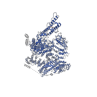 20849_6uqk_A_v1-2
Cryo-EM structure of type 3 IP3 receptor revealing presence of a self-binding peptide